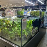Nouvelle semaine de stage 