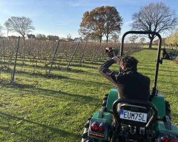 image On met le cap vers les vignes !