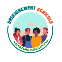 Badge volontaire international
Lien vers: https://openbadgefactory.com/c/earnablebadge/RCSY6WaDTa1IN/apply
