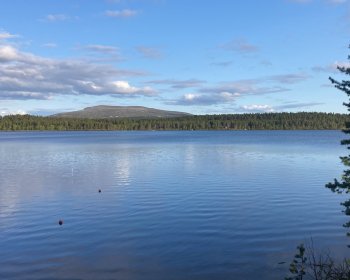 image Paysage