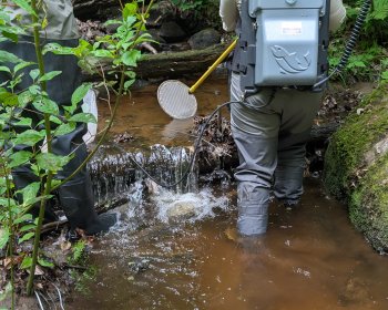 image Pêche électrique