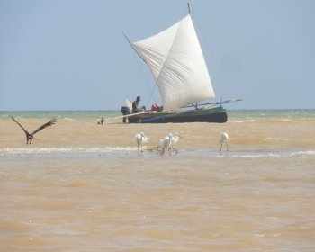 image Pêcheurs à Madagascar