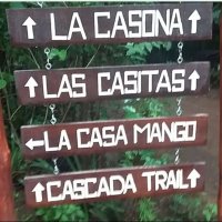  Perdida en la selva tropical... 