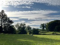 Perdues au milieu de nulle part, l’Irlande, une expérience unique 