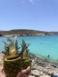 Petit tour au Blue Lagoon et visite de l'aquarium