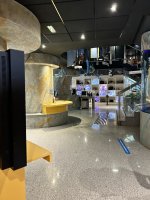 Petite visite du musée 