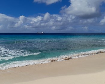 image Photo de la plage à la Barbade