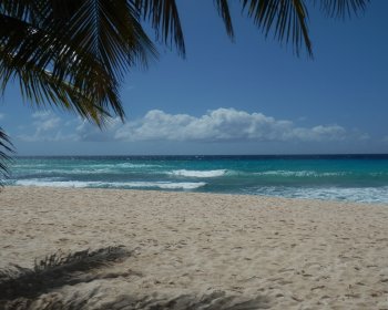 image plage de La Barbade