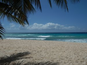 plage de La Barbade