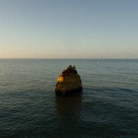 Portugal, terre de voyage... Et d'abeille !