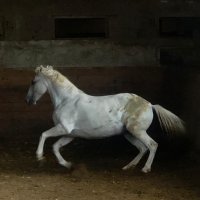Poursuite du stage en Slovénie 