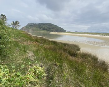 image Premier jour de travail : capucine et coups de pelle 🌱🌼