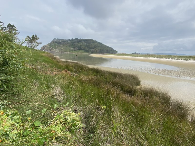 Premier jour de travail : capucine et coups de pelle 🌱🌼