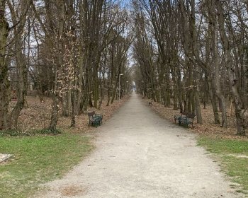 image Premi&eacute;re semaine en R&eacute;publique Tch&egrave;que 