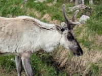 Premiers jours à Kuusamo