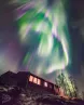 image 171802086_1340827282969829_8802184731790258166_n.webp (0.1MB)