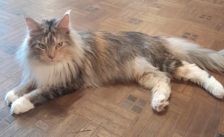 Photo de Maeva sur son territoire