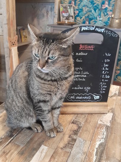 Photo de Sora dans toute sa splendeur