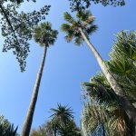 Pr&eacute;sentation d&rsquo;ici !