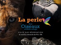 Pr&eacute;server la faune marocaine c'est possible !!!