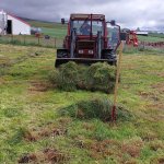 Ramassage de l'herbe pour les taureaux  🐂 