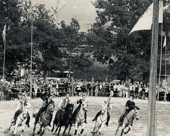 image Rencontre chaleureuse et f&ecirc;te &eacute;questre inoubliable🎠