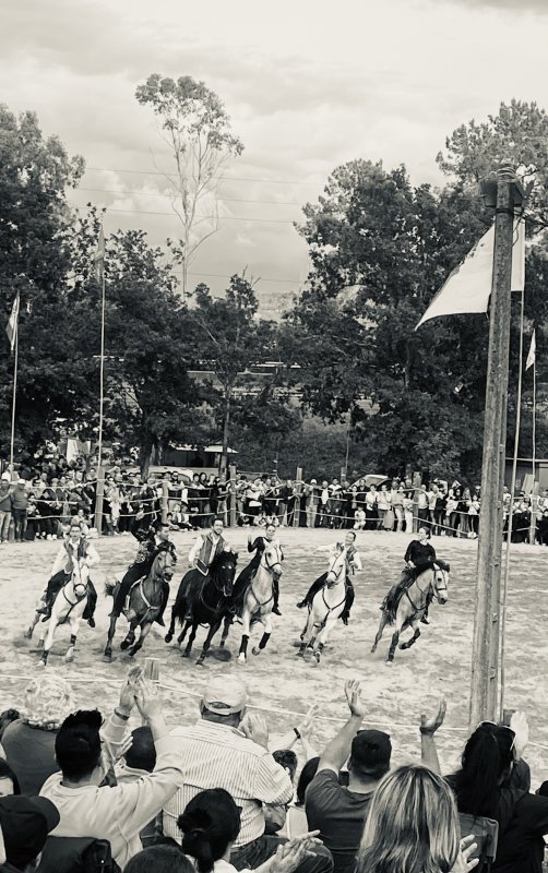 Rencontre chaleureuse et fête équestre inoubliable🎠