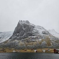 Road trip aux îles Lofoten