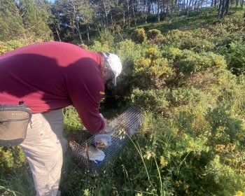 image Robiniers, artoteca et lapins 🐇🌼🌱