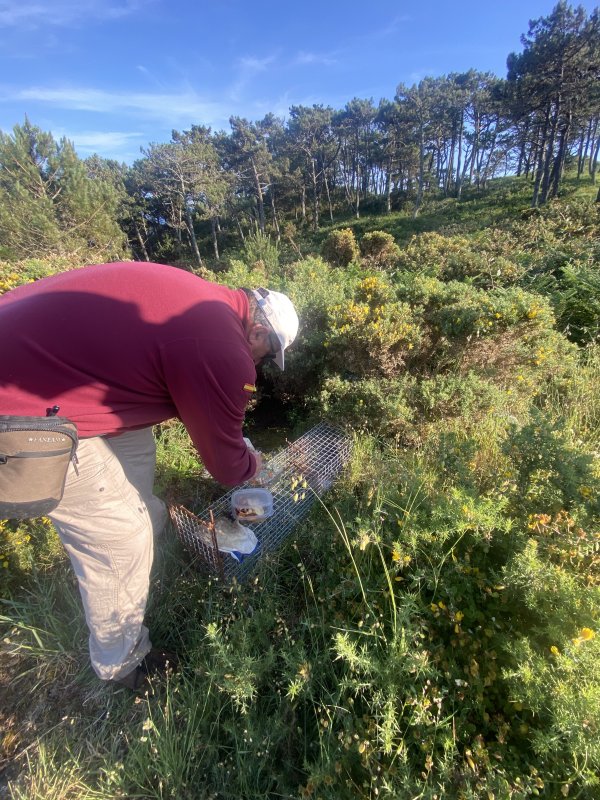 Robiniers, artoteca et lapins 🐇🌼🌱