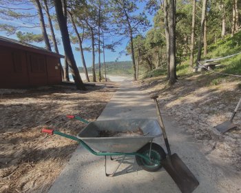 image Sable, brouettes et bapt&ecirc;me du souffleur 🏝️💨
