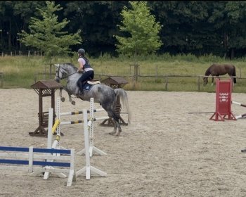 image Saut d&rsquo;obstacles 