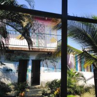 Sensibilisation aux enjeux de la mangrove en Colombie 