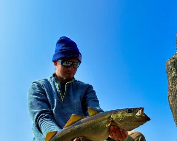 image So easy fishing