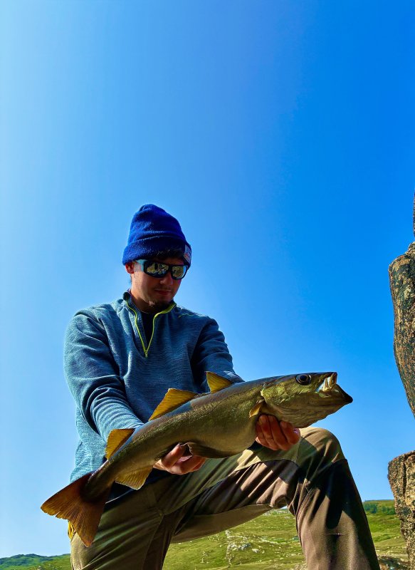 So easy fishing