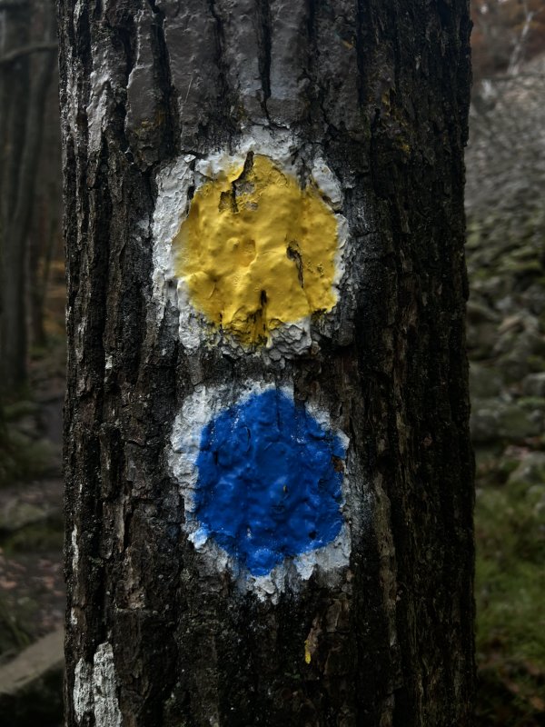 Söderåsen National Park