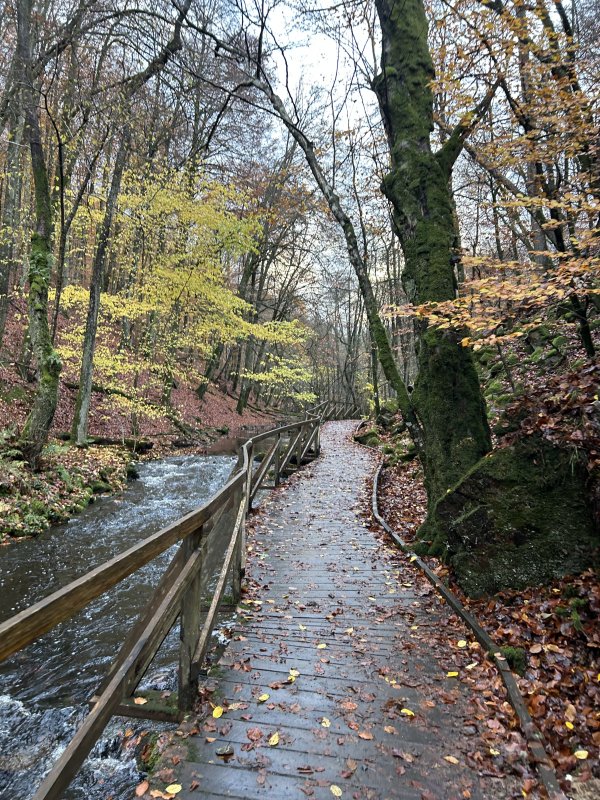 Söderåsen National Park