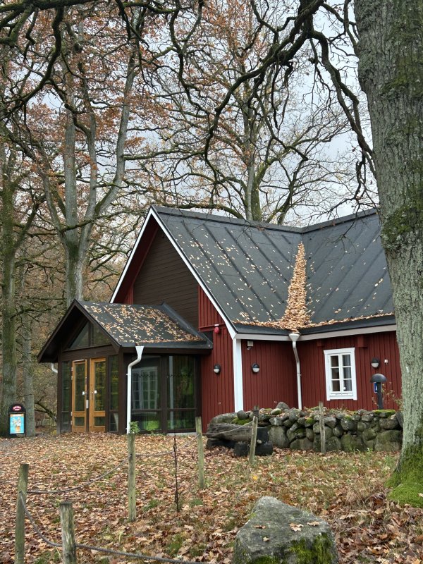 Söderåsen National Park