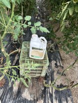 image IMG_4E5C14C653D91.jpeg (4.2MB)