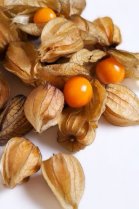 image IMG_FE4B9FF9C30B1.jpeg (0.2MB)