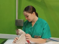 Stage à Barcelone : Immersion Culturelle et Professionnelle