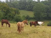 Grand d&eacute;part au Canada