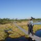 Le FULUFJALLET National Parc en Suède
