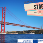 Stage dans un élevage de porcs au Portugal