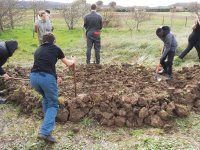 Stage en permaculture : une journée transformative 