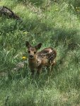 Stage Forestier en Suisse