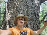 Stage Forestier en Suisse