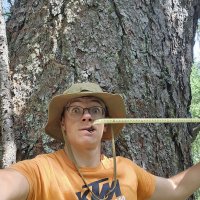 Stage Forestier en Suisse