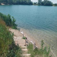 The discovery