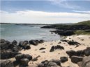 Cove